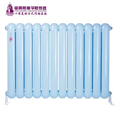 家庭装修钢制暖气片